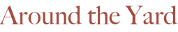 shapeimage_5_link_5