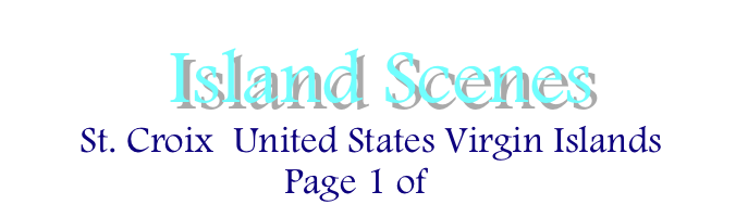  Island Scenes 
St. Croix  United States Virgin Islands Page 1 of 2